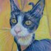 Cat portrait - water soluble pencils - When I Decorate Things