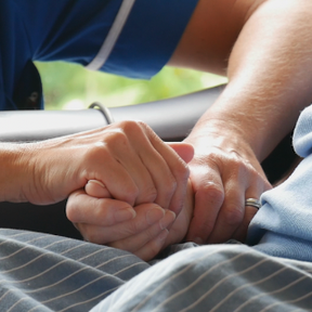 St Wilfrid's Hospice (2024)