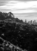 Los Angeles Noir