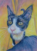 Cat portrait - water soluble pencils - When I Decorate Things