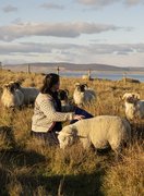 Jenny and Orkney Boreray, photographed for Inkcap, 2024
