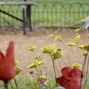 Ceramic Garden (2019)