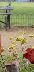 Olive Tree Productions