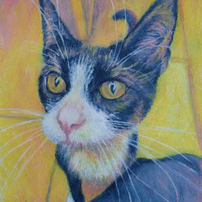 Cat portrait - water soluble pencils - When I Decorate Things