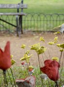 Ceramic Garden (2019)