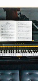 Own A Chord