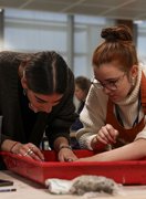 Demonstrating alternative photography techniques to students