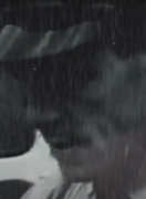 The Day Frank Died (2020)